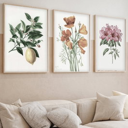 Wallity Huhu278 Cuadro Decorativo Enmarcado de 3 Piezas 50 x 35 cm